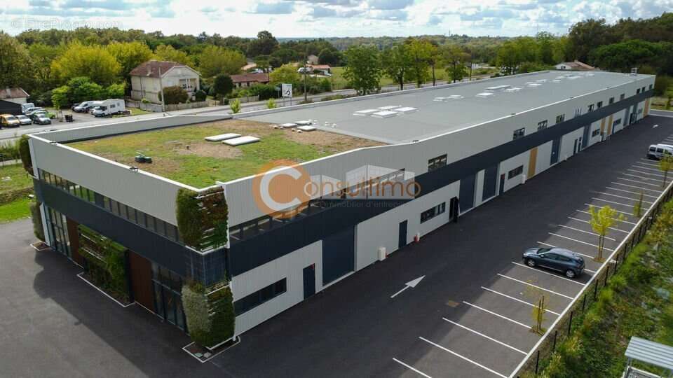 Commerce à SALLEBOEUF