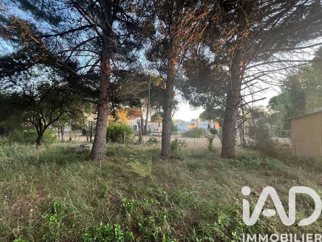 Photo 2 - Terrain à AGDE