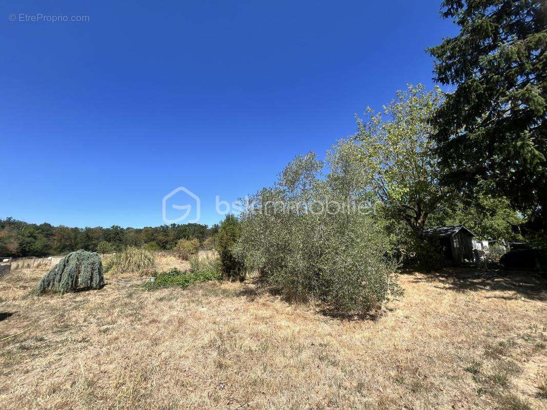 Coup de cœur : maison de 1940 en lisière de forêt, à deux pas d’un étang, sur 8 931m² de terrain avec dépendances - photo 26