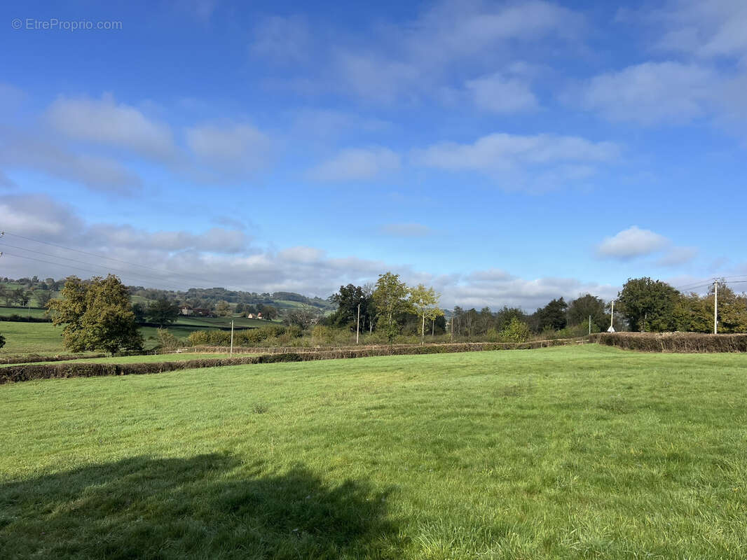Maison à COLOMBIER-EN-BRIONNAIS