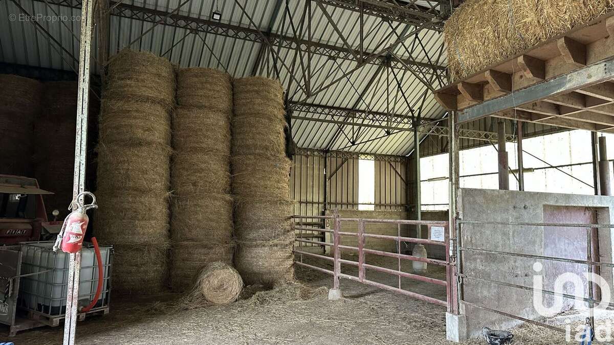 Photo 6 - Terrain à SOULIGNY