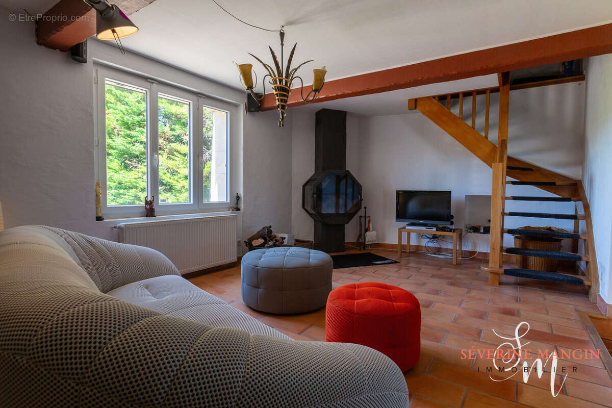 Maison 246 m² à La Roche-Sur-Grane  - photo 9
