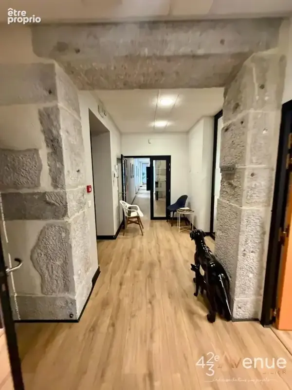 Commerce 220 m² à vendre à Saint-Etienne (42000) - photo 3