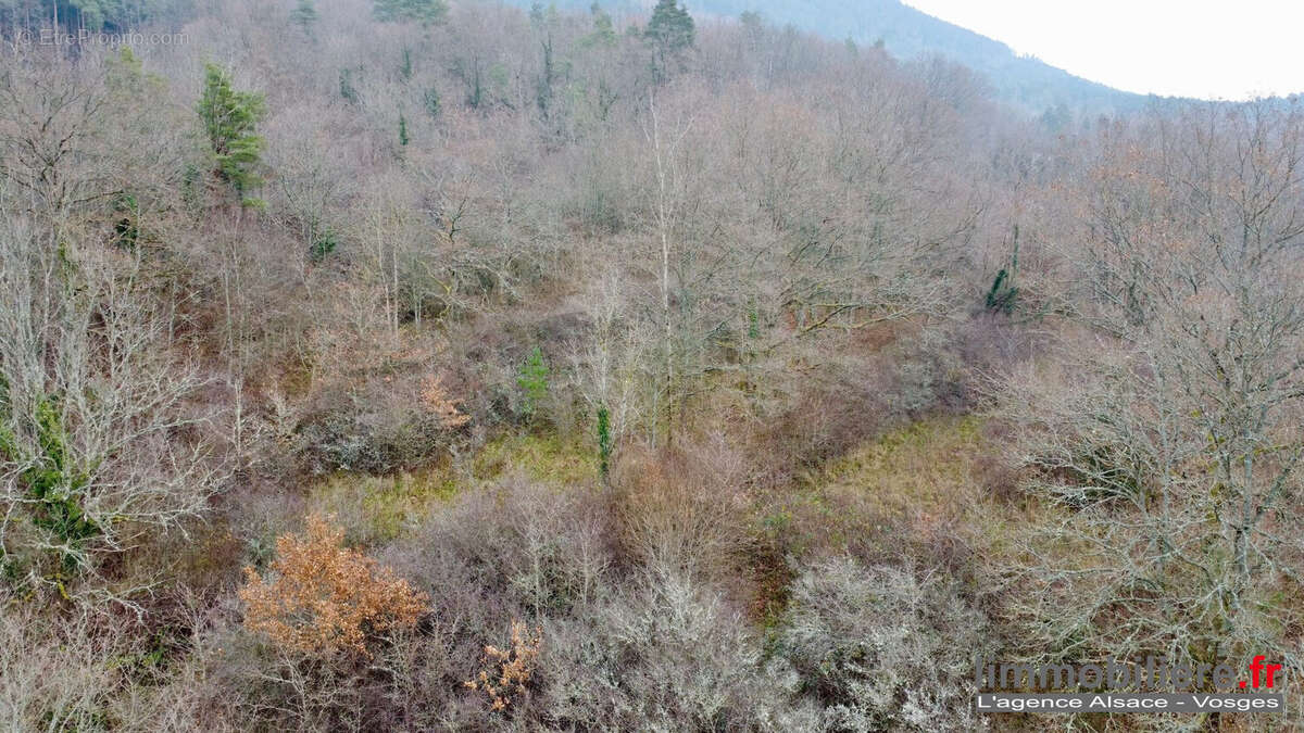 Terrain à SAINT-DIE-DES-VOSGES