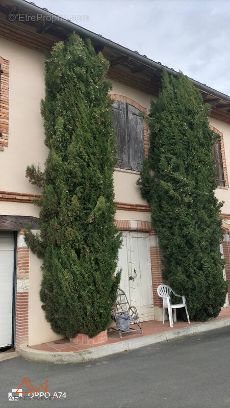 Maison à LISLE-SUR-TARN