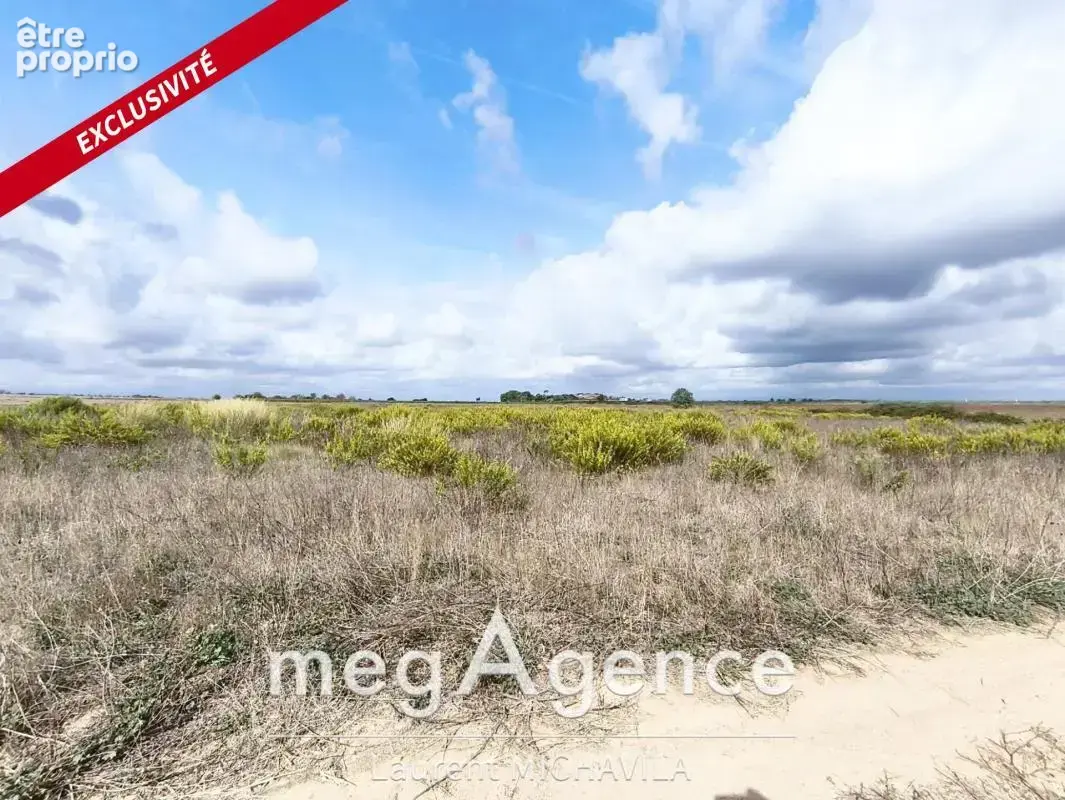 Terrain agricole - Caylus, Villeneuve les béziers - 20 000€ - photo 2