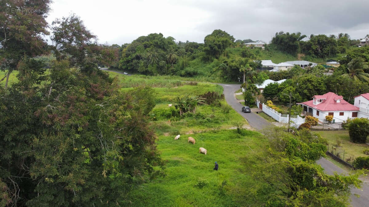 Terrain à PETIT-BOURG