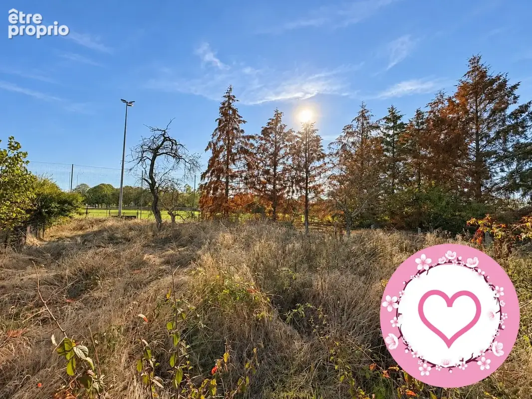 Terrain 994 m² à vendre à Sully-Sur-Loire (45600) - photo 4