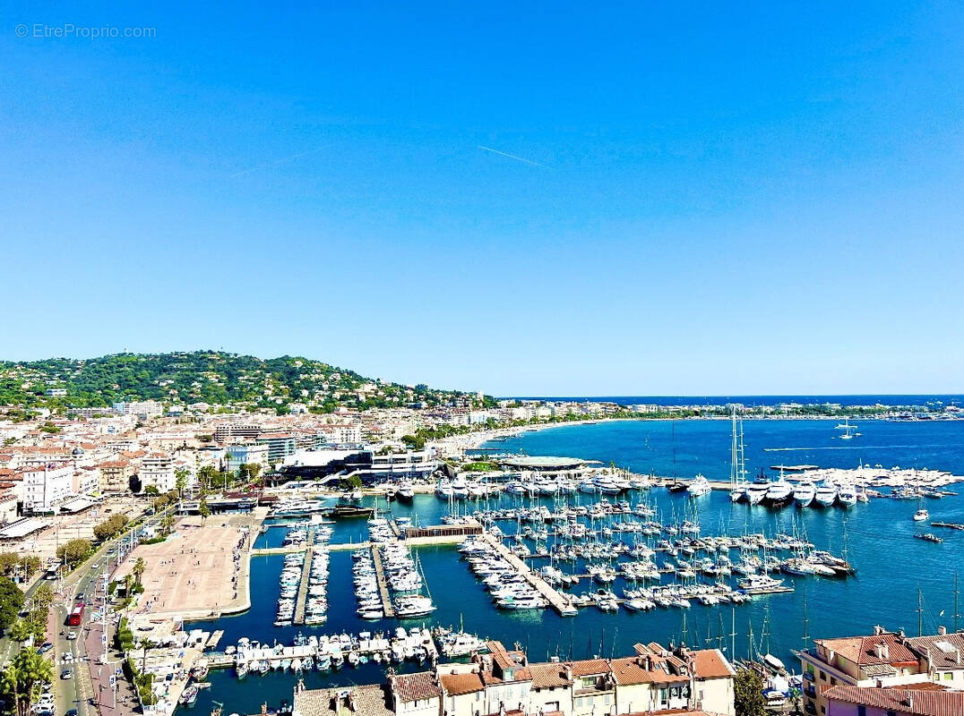 Commerce à CANNES