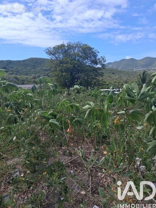 Photo 3 - Terrain à SAINT-MARTIN