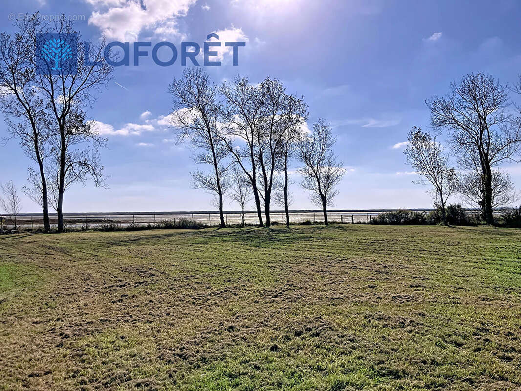 Terrain à RIANTEC