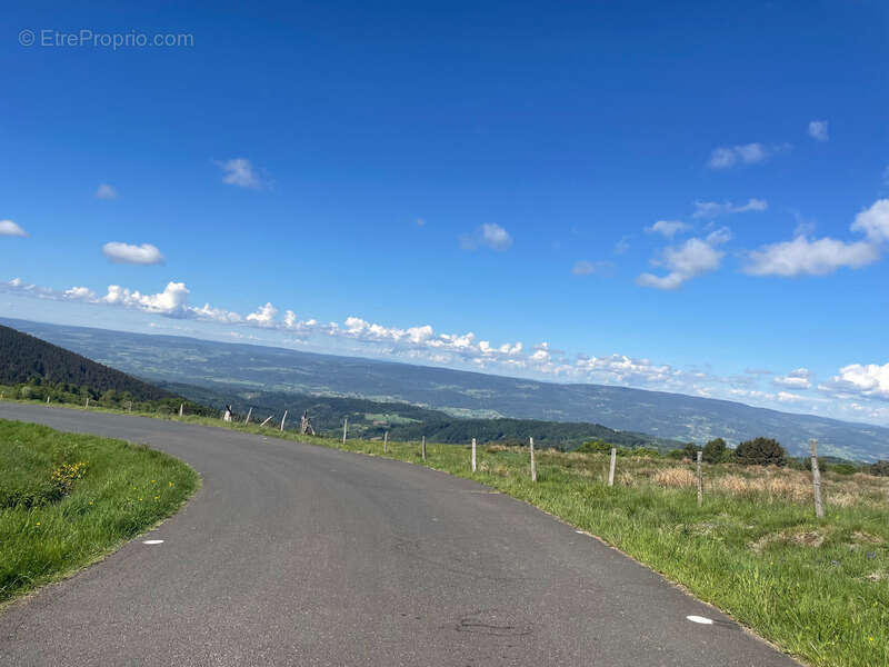  Maison de 310 m² avec gîte – 5 588 m² de terrain – Fraîcheur naturelle et revenus locatifs – Grandrif (63) - photo 31