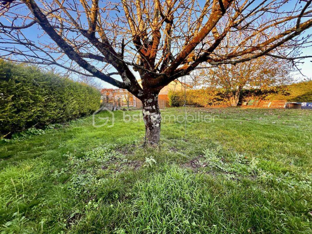 Maison à LA VILLEDIEU-DU-CLAIN