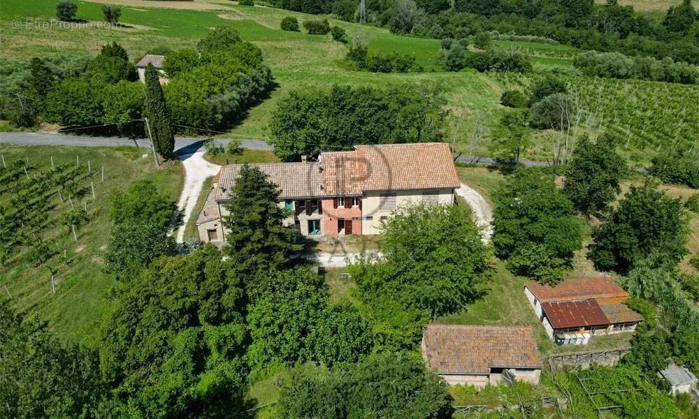 Ferme avec appartements, laboratoire de transformation et boutique à la ferme — Le Marche - photo 10