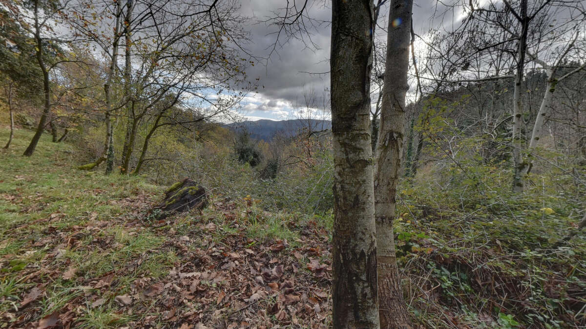 Maison à SAINT-MICHEL-DE-CHABRILLANOUX