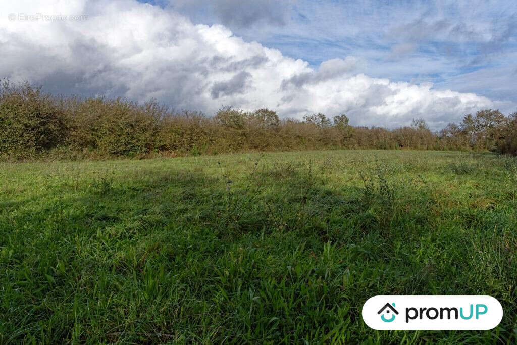 Terrain à LOQUEFFRET