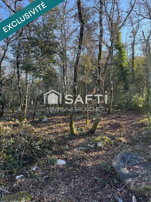 Photo 1 - Terrain à VALLON-PONT-D'ARC