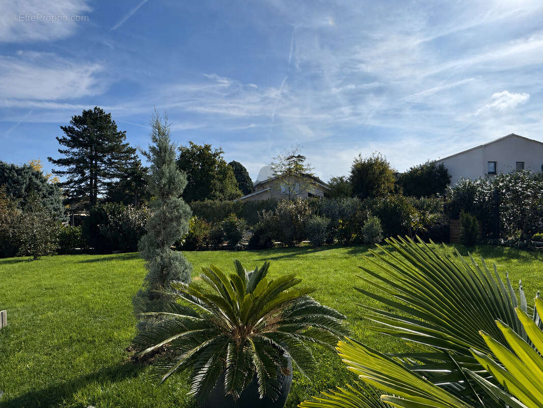 Maison à CHASSELAY