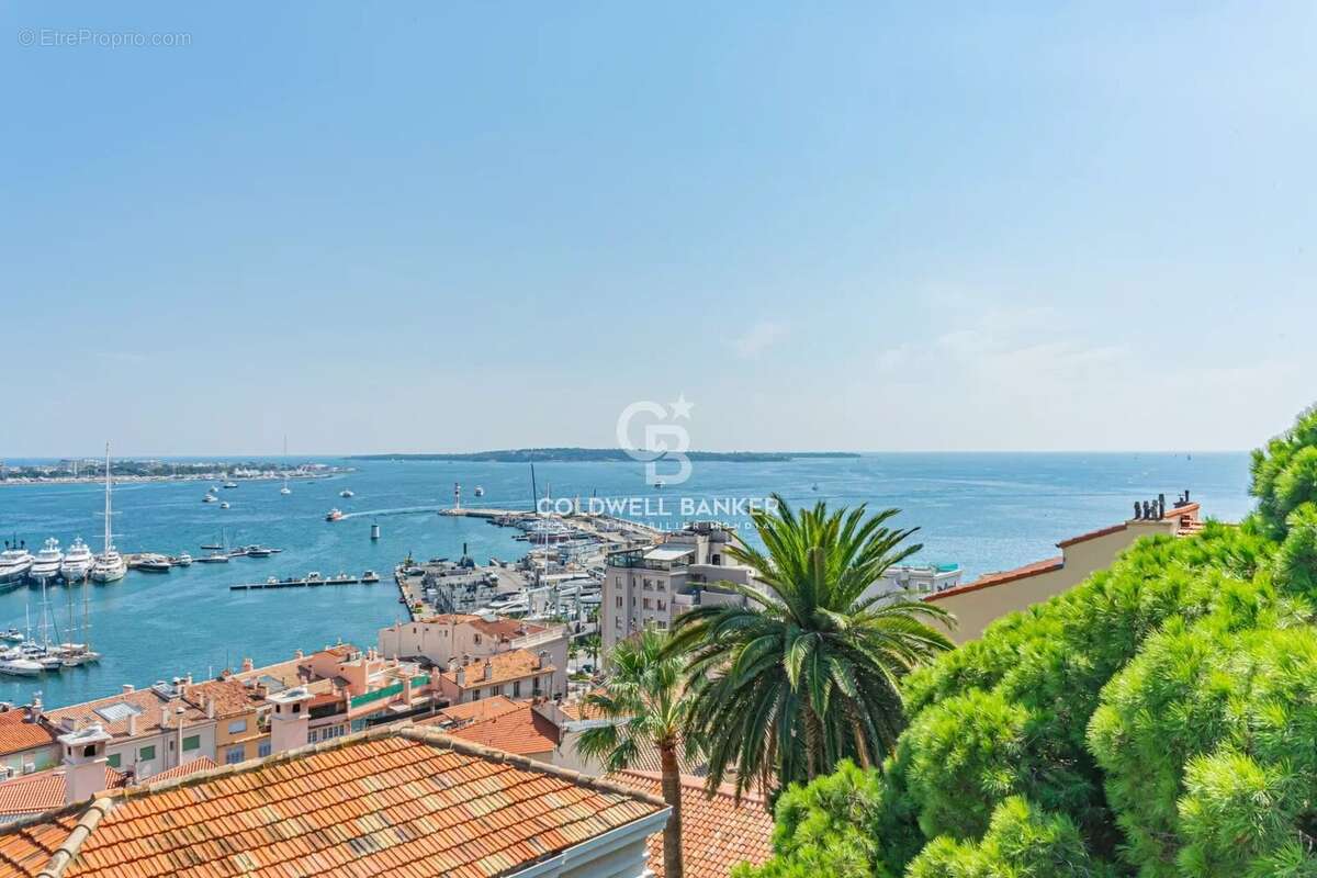 Maison à CANNES