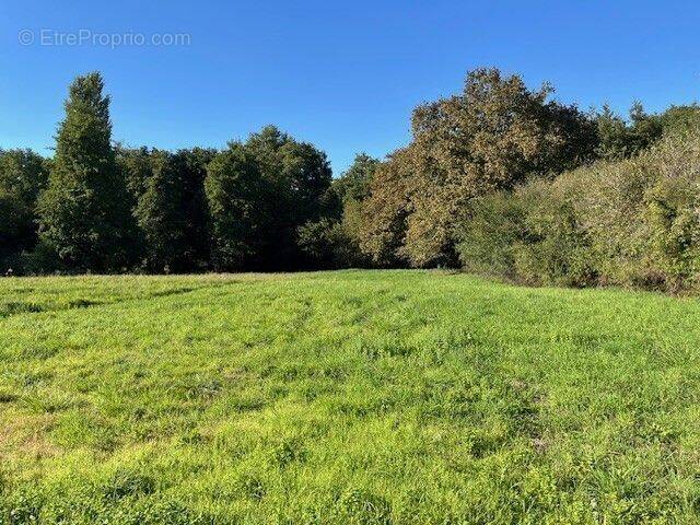 Terrain à LIGNAN-DE-BAZAS