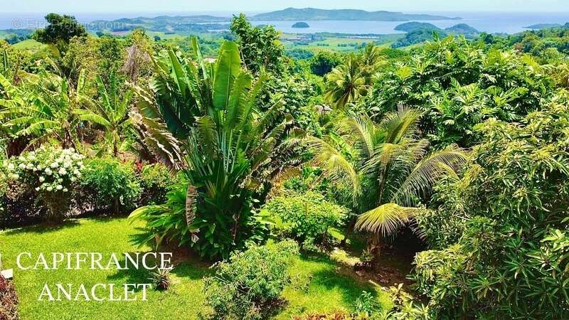 Maison à RIVIERE-PILOTE