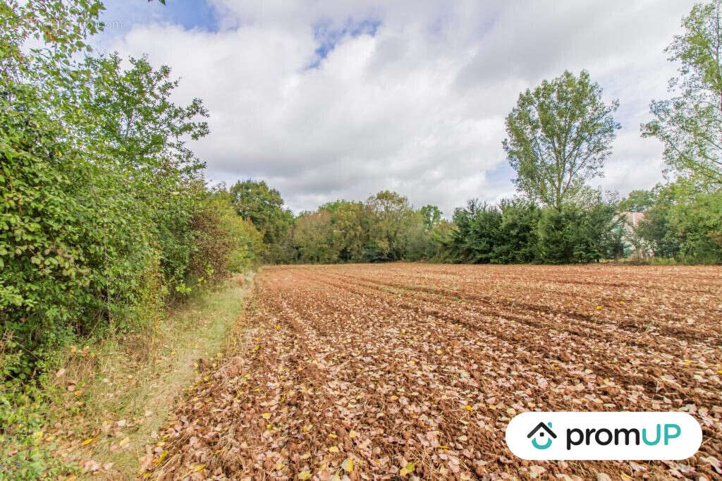 Terrain à CHERVEIX-CUBAS