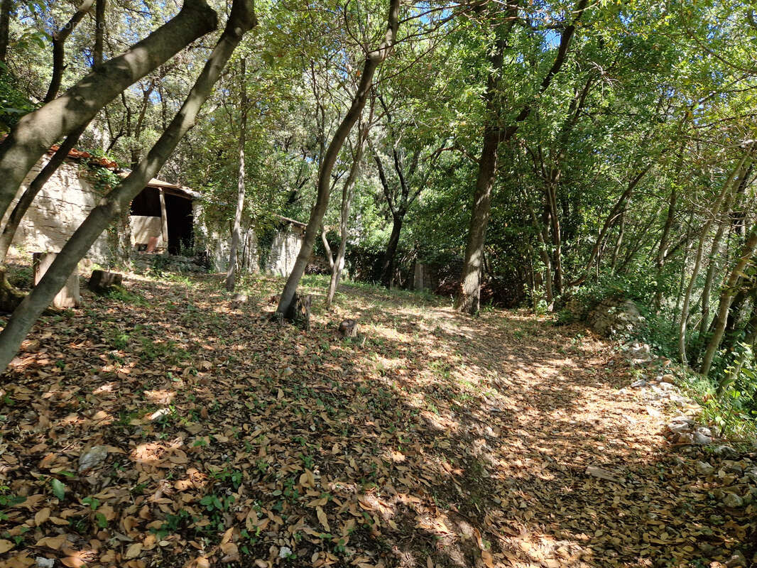 Maison à BOISSET-ET-GAUJAC