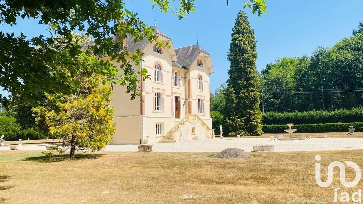 Maison 440 m² à Sainte-Montaine  - photo 3