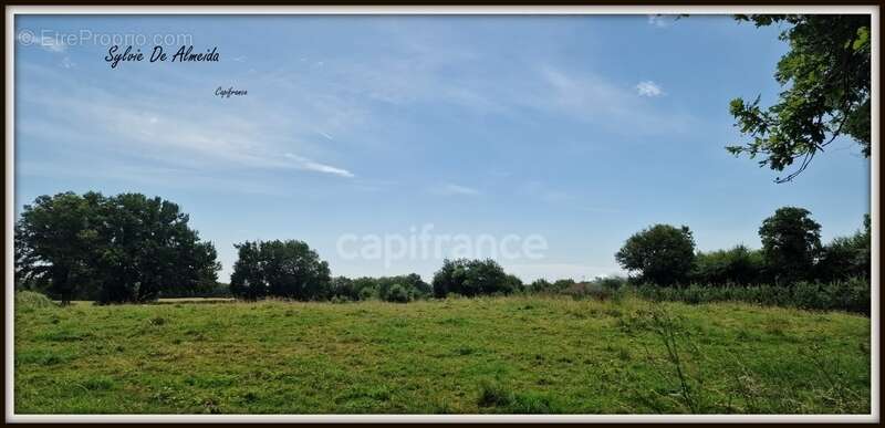 Parcelle de Terrain à bâtir, à vendre, hors lotissement de 2 493,00 m² BEREZIAT (01) plat, calme, campagne - photo 2