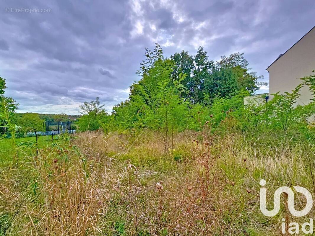 Photo 1 - Terrain à SOIGNOLLES-EN-BRIE