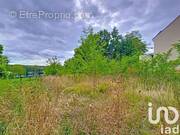 Photo 1 - Terrain à SOIGNOLLES-EN-BRIE