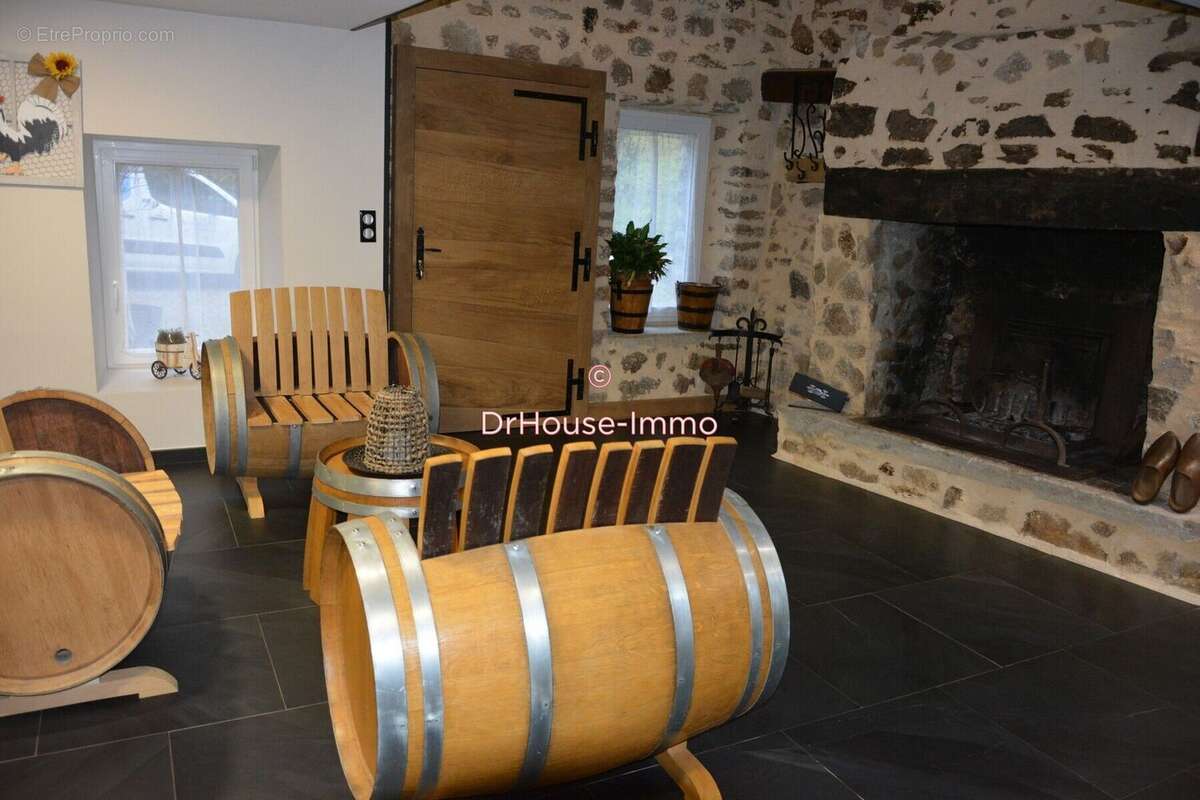 Maison 244 m² à Saint-Martin-Terressus  - photo 8
