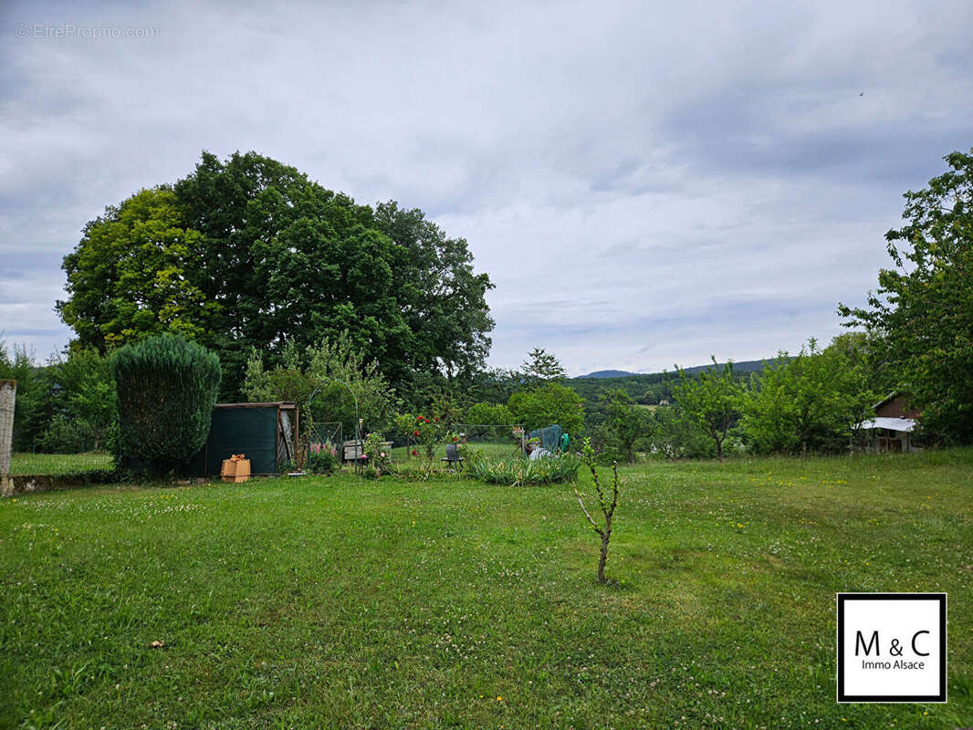 Maison à ZINSWILLER