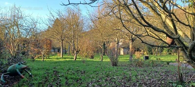 Maison à GRAINVILLE-LA-TEINTURIERE