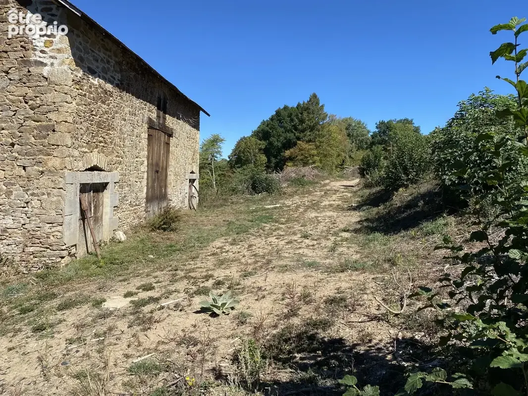 Terrain 13 287 m² à vendre à Neuvic-Entier (87130) - photo 4