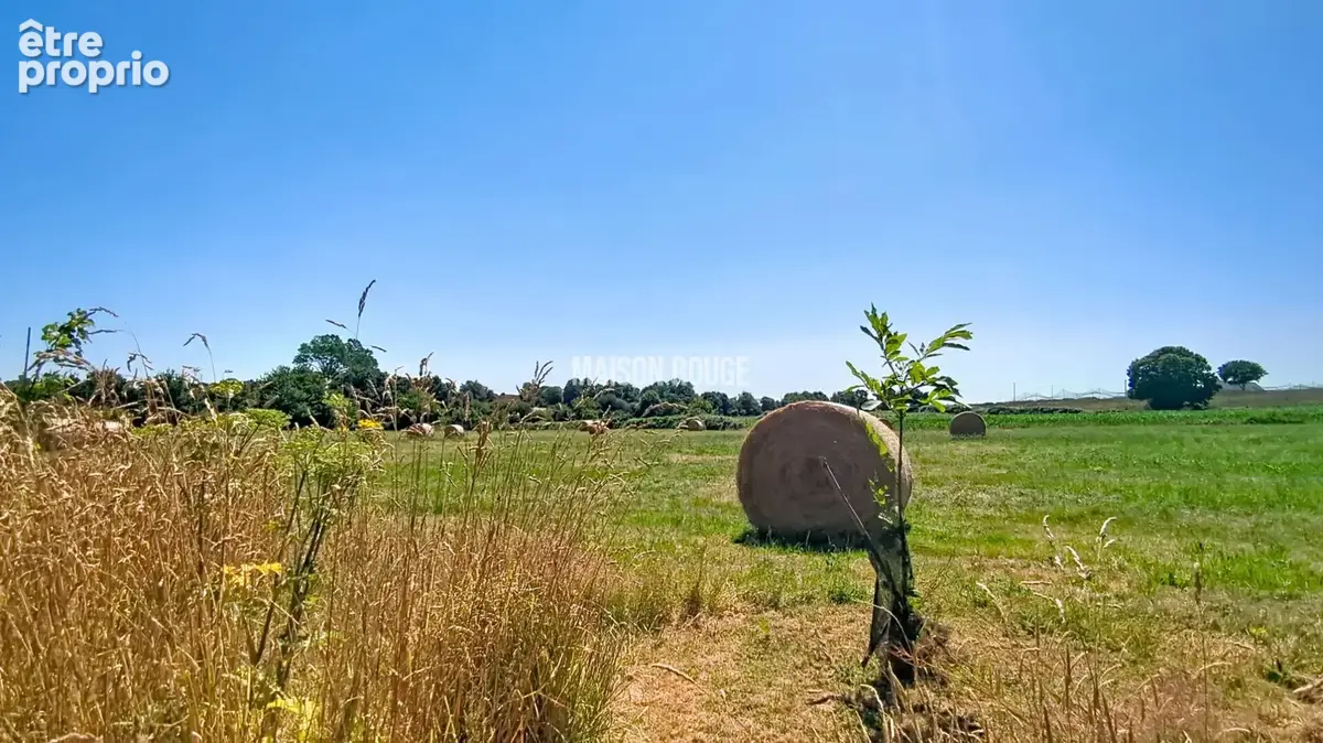 Propriété en pierres avec 4 hectares de terrain, dépendances , vie de plain pied, au calme - photo 23