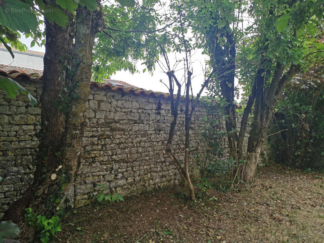 Terrain à SAINTE-SOULLE