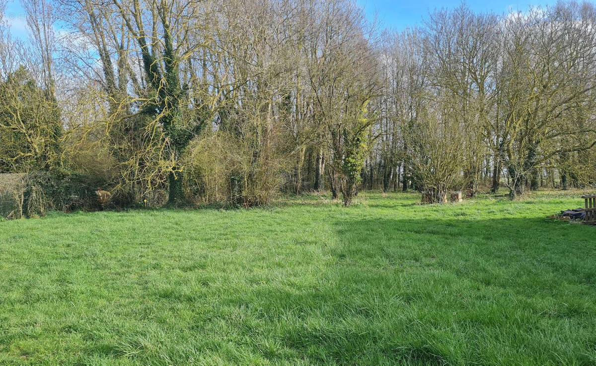 Terrain à BAVINCHOVE