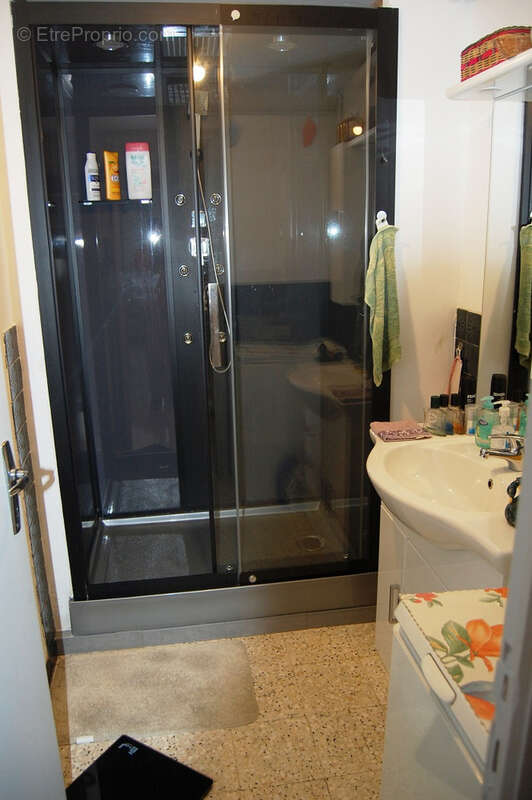 Maison 240 m2 avec 3 appartements dont un d'habitation et deux loués sur 1100m2 de terrain - photo 13