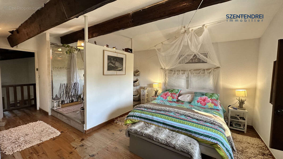 Szentendrei Immobilier - maison + dépendance - LUNEL - Grand terrain  - Maison à LUNEL