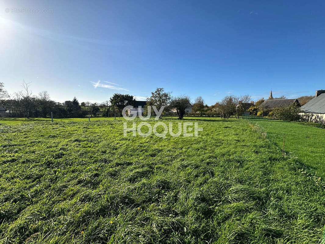 Terrain à LA FEUILLIE