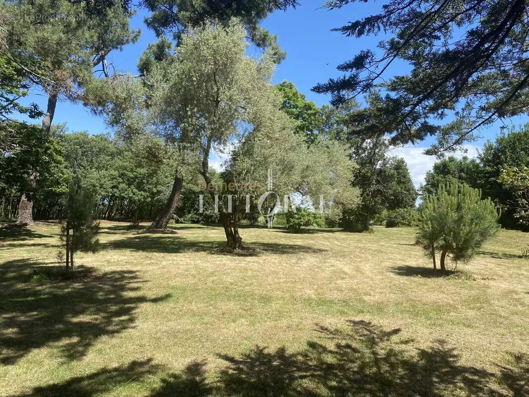 L’île d’Arz – Propriété unique en bord de mer - photo 18