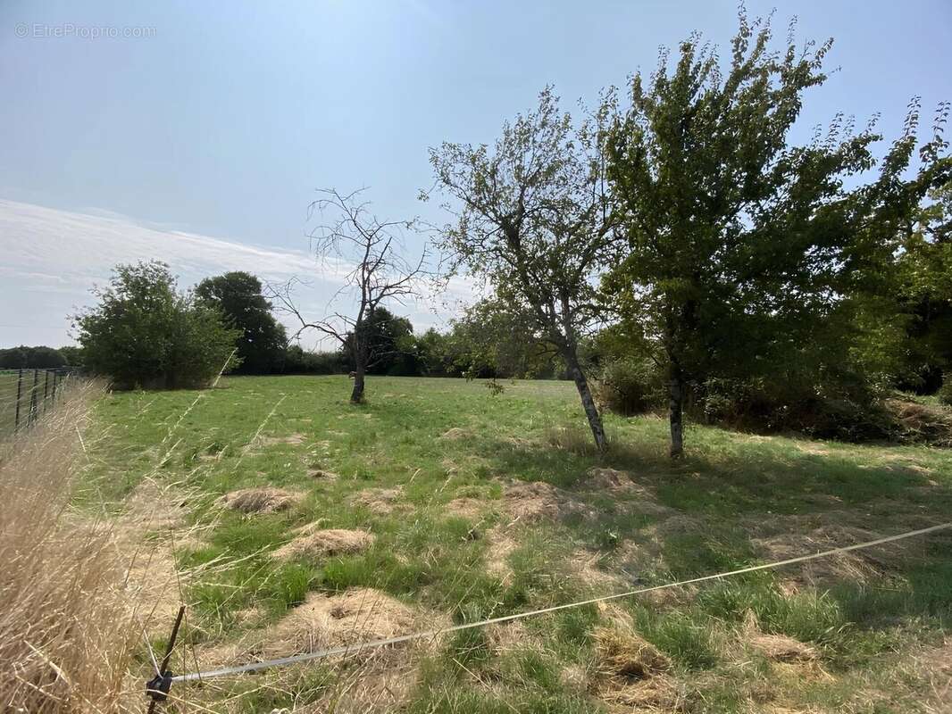 Maison à CHAMPAGNE-MOUTON