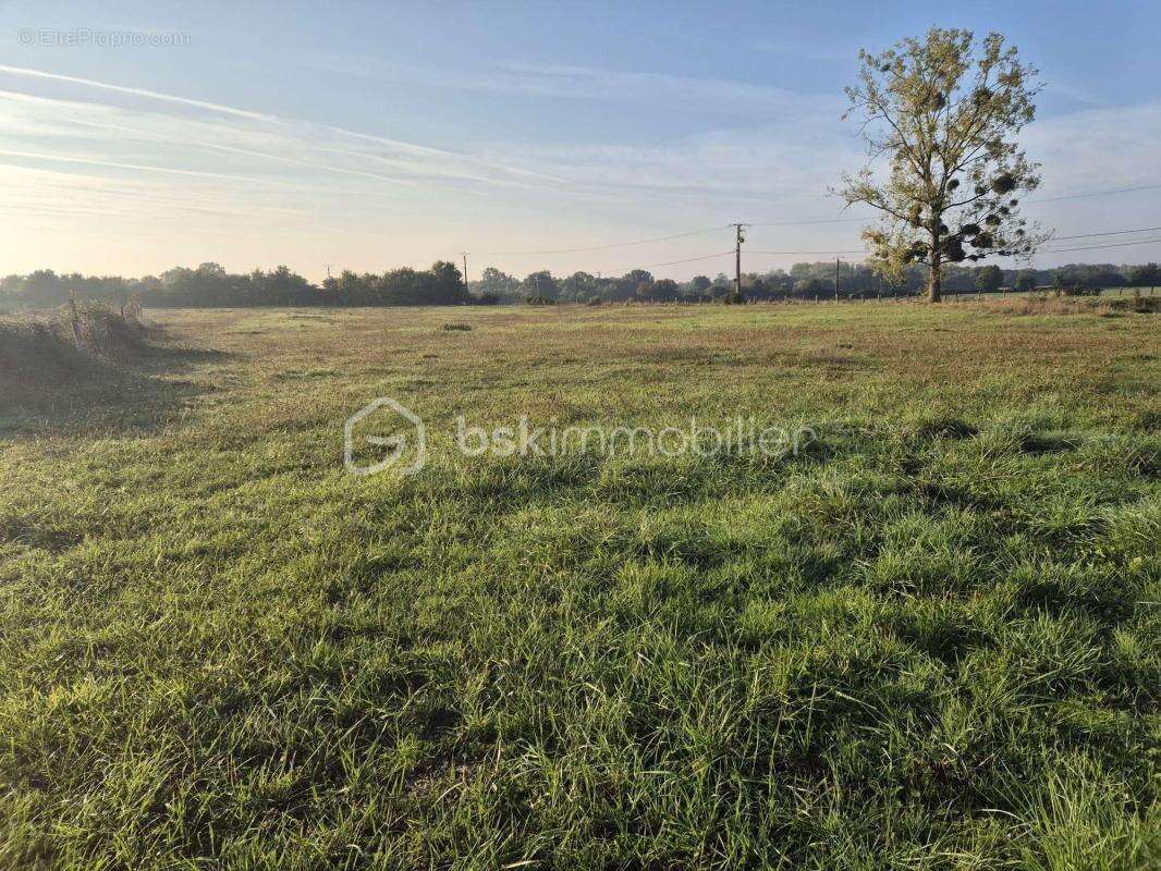 Maison à VILLIERS-AU-BOUIN