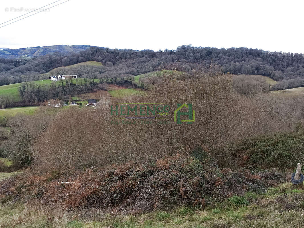 Terrain à MONCAYOLLE-LARRORY-MENDIBIEU
