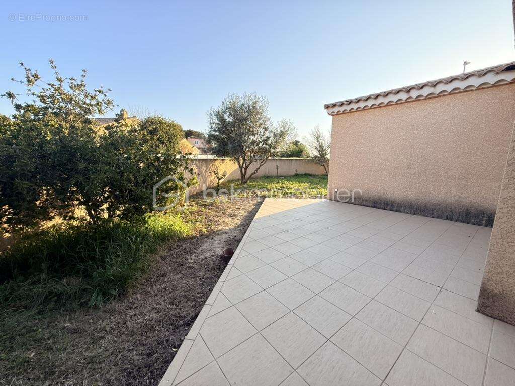 Maison à BOUZIGUES