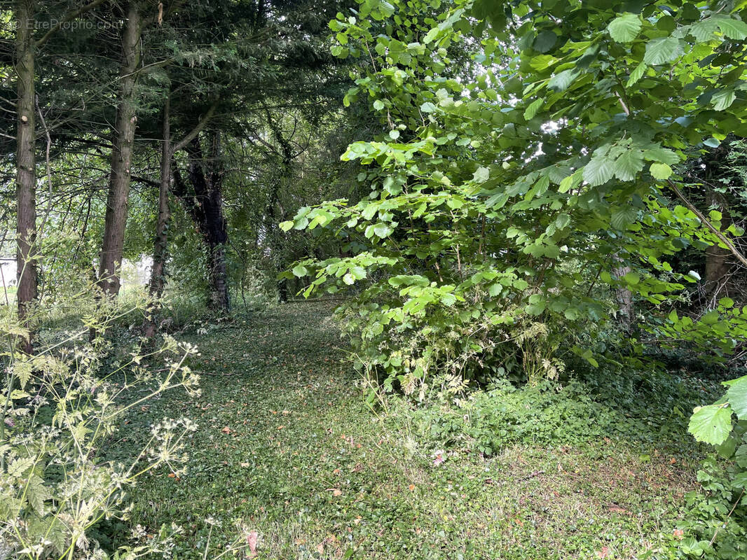 Terrain à BOUGAINVILLE