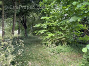 Terrain à BOUGAINVILLE