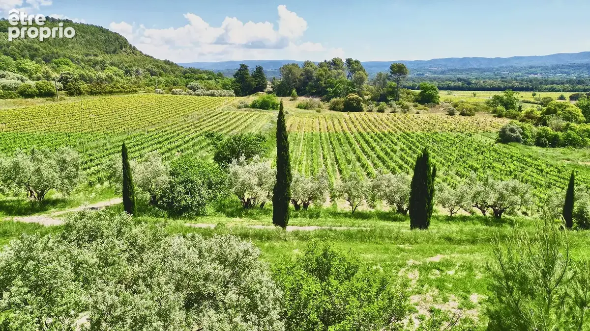 Ventoux   Domaine viticole de renom sur 18 ha - intimiste et vue dominante - photo 20