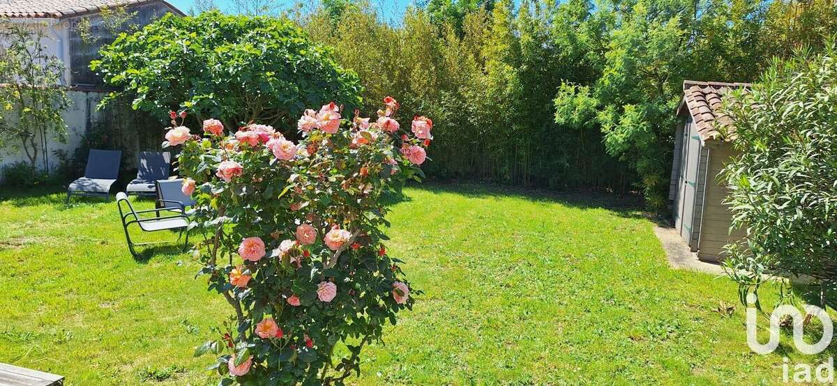 Photo 2 - Maison à SAINT-MARTIN-DE-RE